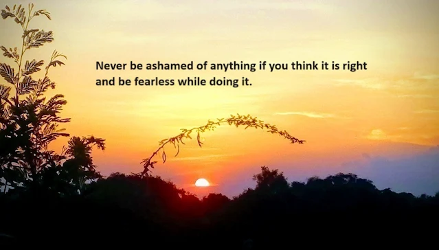 Never be ashamed of anything if you think it is right and be fearless while doing it.