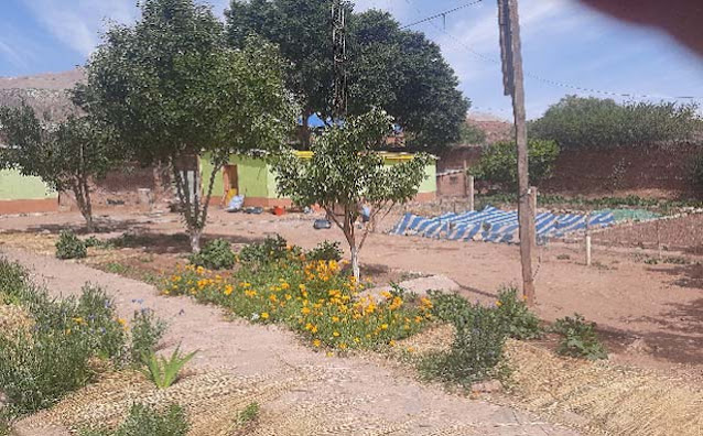 Foto: Schmuckstück des Pfarrhauses ist der Pfarrgarten es beginnt schon einmal zu blühen