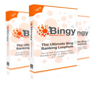 Bingy Review