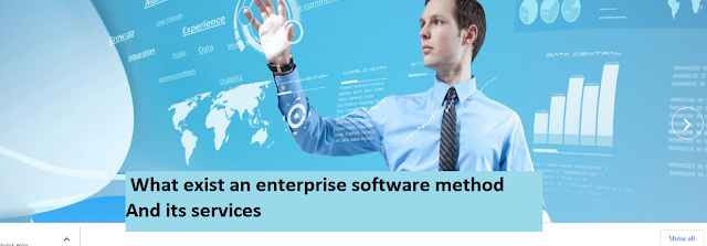 What exists an enterprise software method And its services