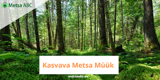 Kasvava metsa müük