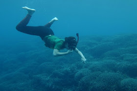 New Zealander girl was freediving in Mansinam island of West Papua