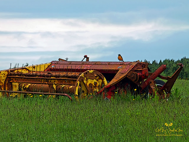 Farm tractor in field