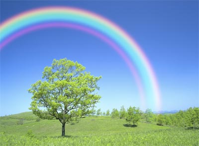 https://blogger.googleusercontent.com/img/b/R29vZ2xl/AVvXsEhfEOrfG2_1dXyQalN5O8NfvxV9AfReaorGPI6eWEPsMf50eEQb8tPWYufmVZ5ZBiub4jUjhQM41Jp5yoX-c7UbheKXRNERnavOAc1oCuP5hgp1nI2_b8wOHbtwcXG80QLnpZ9IgIwUtyc/s1600/exp-rainbow-main.jpg