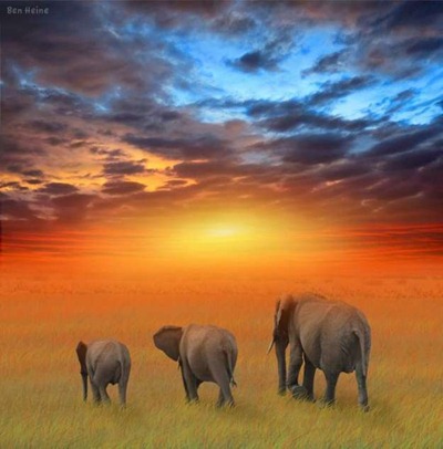 Africa-travel-photos-17