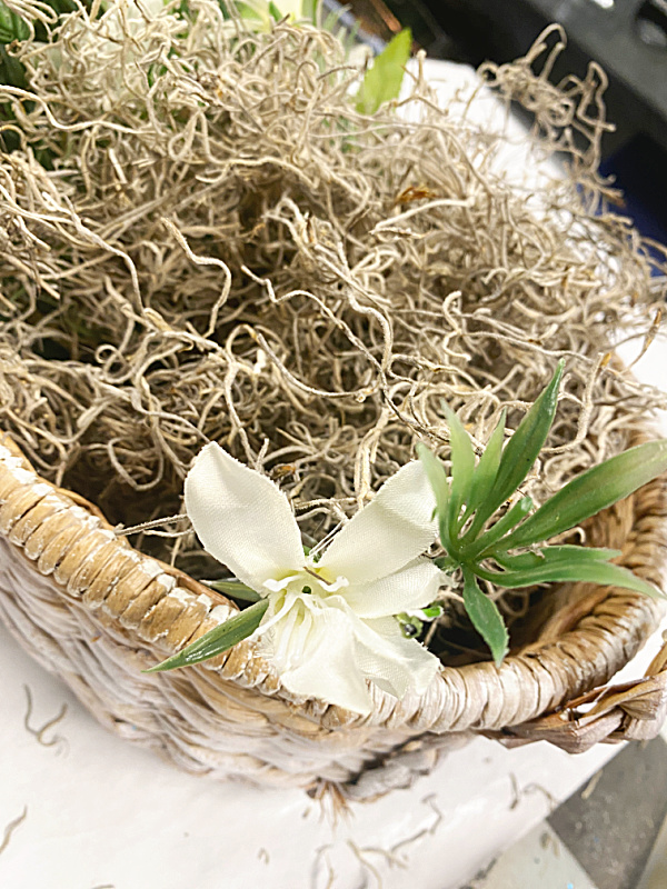 basket filled with Spanish moss