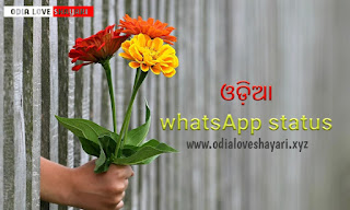 Odia Whatsapp status : -latest New Odia Love shayari whasapp status 