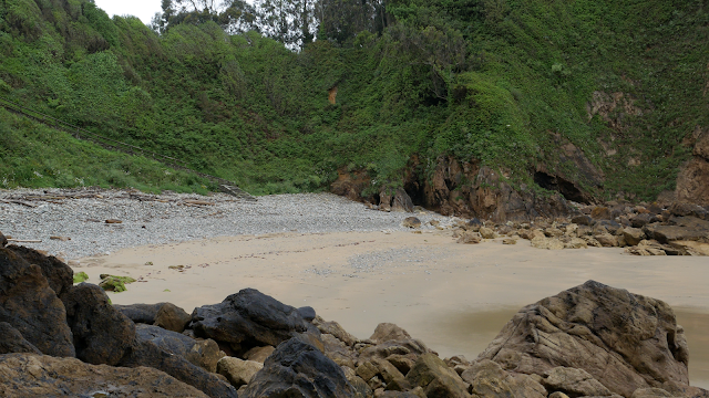 Playa de veneiro, Xilo