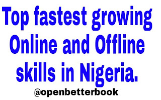 Top fastest growing Online and Offline skills in Nigeria today openbetterbook