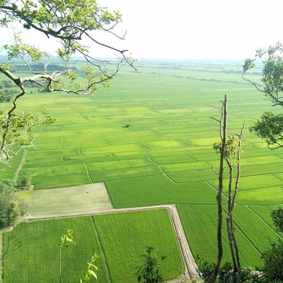 Sawah Padi Meaning In Malay