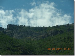 DSCN7118