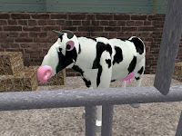 second life animal pictures - Dutch cow