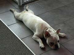 Rockin' Rocco