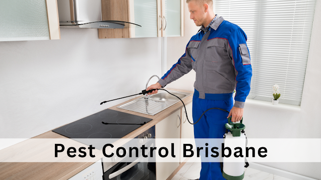 pest control brisbane