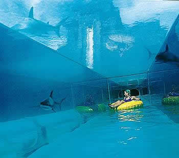 atlantis bahamas underwater tunnel