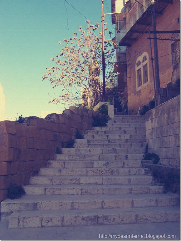 alsalt_city_jordan (1)