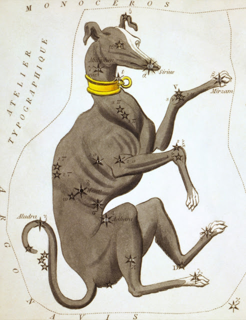 Старинное изображение созвездия Большого Пса с Сириусом, Собачьей звездой