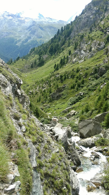 a fast moving stream rushes down the mountain slope