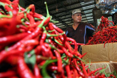 Ambon, Malukupost.com - Harga cabai dan bawang yang ditawarkan para pedagang pada sejumlah pasar tradisional di Kota Ambon menjelang perayaan Paskah kembali bergerak naik. Pada Pasar Mardika dan Batu Merah, Kamis (29/3), terlihat para pedagang menawarkan harga cabai rawit hingga mencapai Rp40.000/kg atau naik dari sebelumnya Rp35.000/kg, cabai merah biasa Rp35.000, eceran Rp5.000/cupa, dan cabai keriting panjang Rp25.000/kg. Sedangkan harga bawang merah juga naik dari Rp32.000 menjadi Rp35.000/kg, bawang putih naik cukup tajam dari Rp30.000 menjadi Rp35.000/kg.