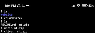 unzip Website Files via Terminal.
