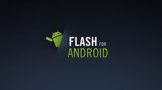 flash player armv6