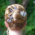 Smooth Mohawk, Side French Braids Updo