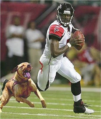 vick wallpaper eagles. Michael Vick is a piece of