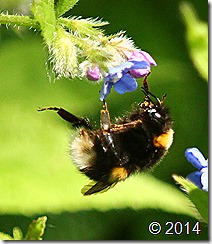 IMG_3526