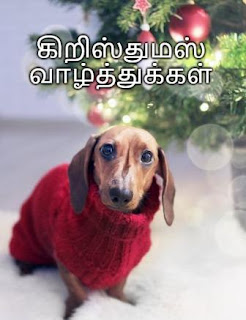 Happy Christmas in Tamil