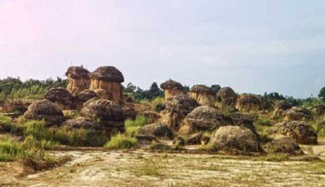 BUKIT JAMUR GRESIK