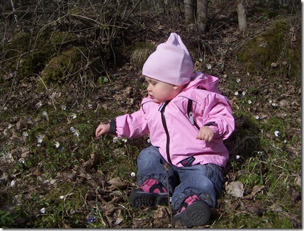 vår-07 287