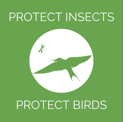 Protect insects, Protect Birds