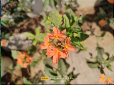 realme camera image