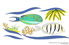 Striped surgeonfish and convict surgeonfish