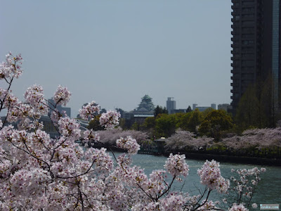 大阪城と桜