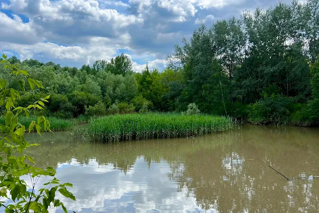 Крылатская улица, пруд Гнилуша на реке Гнилуше