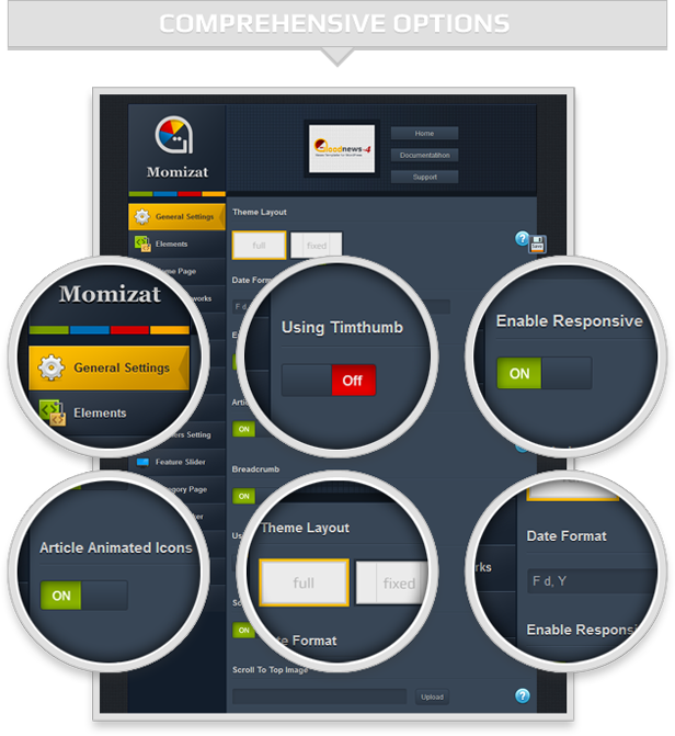 Comprehensive Theme Options Panel 