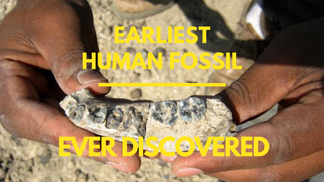 The lower jaw of the earliest known human fossil ever discovered is rewriting human timelines.