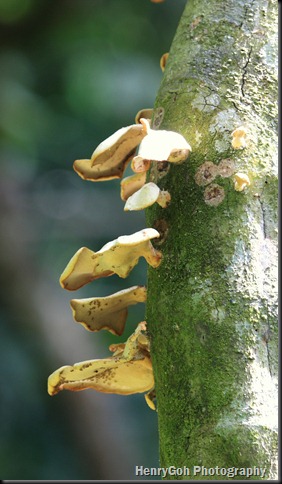 Jpg_0034-1 (2)