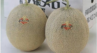 Rarest melons