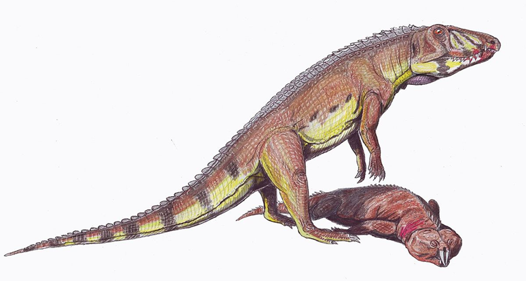 Ornithosuchus. (que significa "ave cocodrilo") es un género extinto de pseudosuquios del Triásico tardío (Carniense) Lossiemouth Arenisca de Escocia. Originalmente se pensó que era el antepasado de los dinosaurios carnosaurios (como el Allosaurus). Sin embargo, ahora se sabe que está más estrechamente relacionado con los cocodrilos que con los dinosaurios.