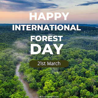 🌳 Happy International Forest Day! 🌳