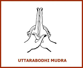 wiki UTTARABODHI MUDRA ce este si cum se face