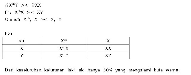 Pembahasan Soal Biologi SMA Kelas 12 Bab Hereditas