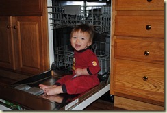 Jeremy in the dishwasher (almost 9 months)