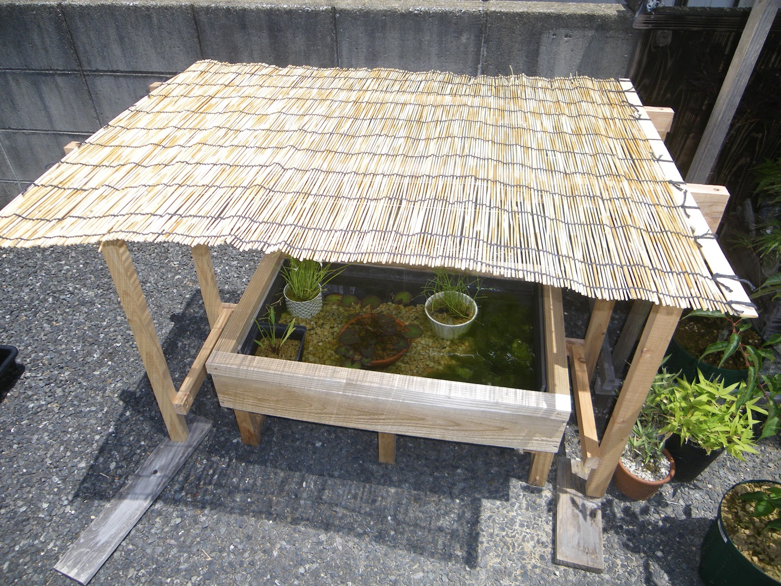メダカのビオトープに屋根を製作 雨対策 夏の日差し対策 越冬対策 メダカの大工