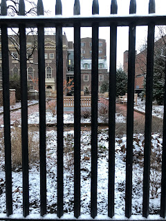 A black iron gate, and beyond it, the snow covered garden behind Christ Church.