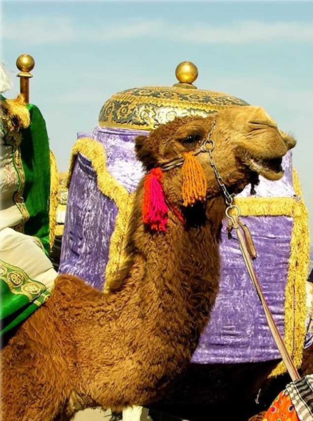 سفينه 1