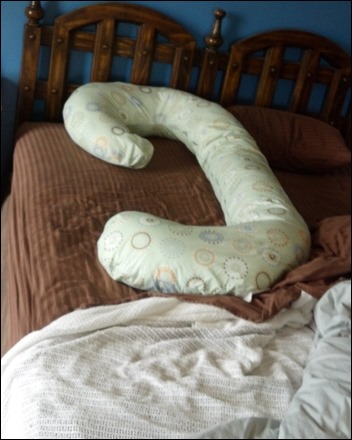 snoogle body pillow