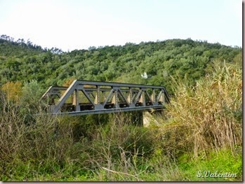 P1140467